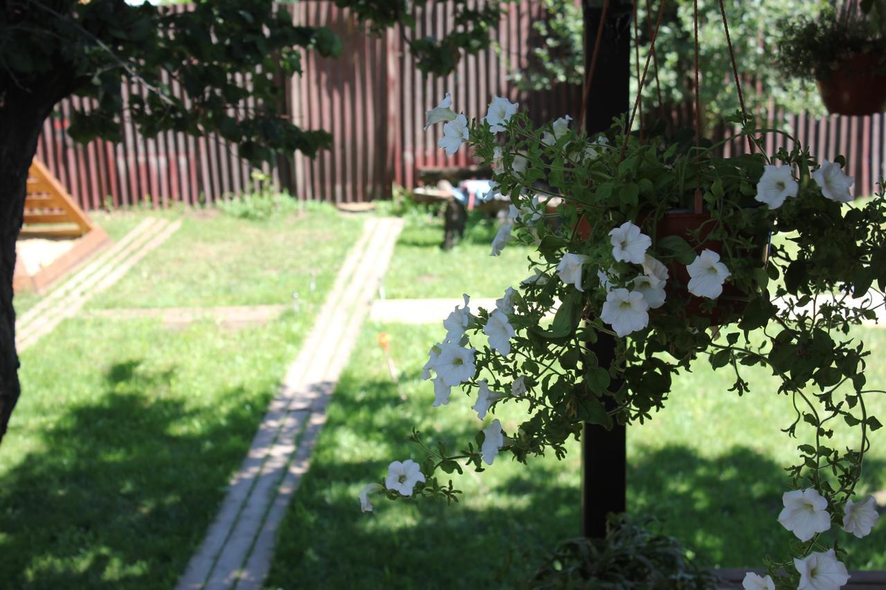 Mini Hotel On Zavodskaya Street Anapa Buitenkant foto